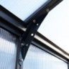 Canopia by Palram Serre de jardin en polycarbonate Gris 5.9m²