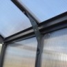 Canopia by Palram Serre de jardin en polycarbonate Gris 5.9m²
