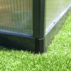 Canopia by Palram Serre de jardin en polycarbonate Gris 5.9m²