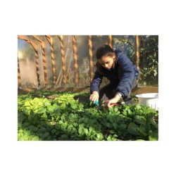 Helio Serre de jardin en polycarbonate Marron 10m²