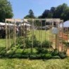 Helio Serre de jardin en polycarbonate Marron 6m²