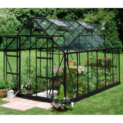 Halls Serre de jardin en polycarbonate Noir 9.9m²