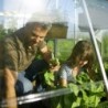 Canopia by Palram Serre de jardin en polycarbonate Gris 14.7m²