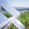 Canopia by Palram Serre de jardin en polycarbonate Gris 14.7m²