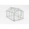Gampre Serre de jardin en polycarbonate Gris 6.5m²