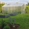 Gampre Serre de jardin en polycarbonate Gris 9.8m²