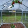 Gampre Serre de jardin en polycarbonate Gris 11m²
