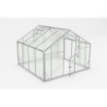 Gampre Serre de jardin en polycarbonate Gris 8.41m²
