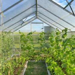 Gampre Serre de jardin en polycarbonate Gris 9.8m²