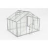 Gampre Serre de jardin en polycarbonate Gris 6.38m²