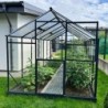 Gampre Serre de jardin en verre Gris 7.92m²