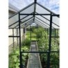 Gampre Serre de jardin en verre Gris 7.92m²