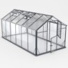 Gampre Serre de jardin en verre Gris 9.8m²