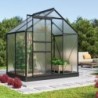 Vitavia Serre de jardin en polycarbonate Noir 2,5m²