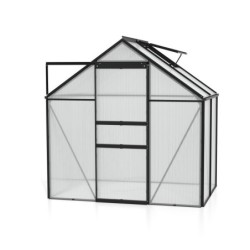 Vitavia Serre de jardin en polycarbonate Noir 2,5m²