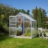 Vitavia Serre de jardin en polycarbonate Gris 3.8m²