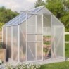 Vitavia Serre de jardin en polycarbonate Gris 3.8m²