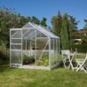 Vitavia Serre de jardin en polycarbonate Gris 3.8m²