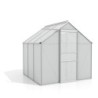 Vitavia Serre de jardin en polycarbonate Gris 3.8m²