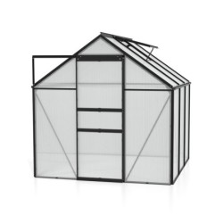Vitavia Serre de jardin en polycarbonate Noir 3.8m²