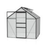 Vitavia Serre de jardin en polycarbonate Noir 3.8m²