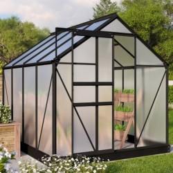 Vitavia Serre de jardin en polycarbonate Noir 5m²