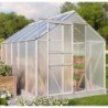 Vitavia Serre de jardin en polycarbonate Gris 6.2m²