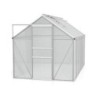 Vitavia Serre de jardin en polycarbonate Gris 6.2m²