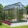 Vitavia Serre de jardin en polycarbonate Vert 6.2m²