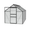 Vitavia Serre de jardin en polycarbonate Noir 6.2m²