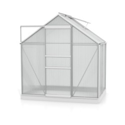 Vitavia Serre de jardin en polycarbonate Gris 2,5m²