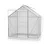 Vitavia Serre de jardin en polycarbonate Gris 2,5m²