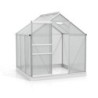 Vitavia Serre de jardin en polycarbonate Gris 3.8m²