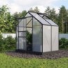 Vitavia Serre de jardin en polycarbonate Noir 2,5m²