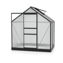 Vitavia Serre de jardin en polycarbonate Noir 2,5m²