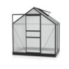 Vitavia Serre de jardin en polycarbonate Noir 2,5m²