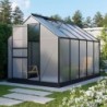 Vitavia Serre de jardin en polycarbonate Noir 6.2m²