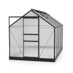 Vitavia Serre de jardin en polycarbonate Noir 6.2m²