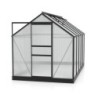 Vitavia Serre de jardin en polycarbonate Noir 6.2m²