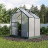 Vitavia Serre de jardin en polycarbonate Vert 2,5m²