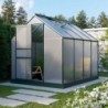 Vitavia Serre de jardin en polycarbonate Vert 5m²