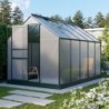 Vitavia Serre de jardin en polycarbonate Vert 6.2m²