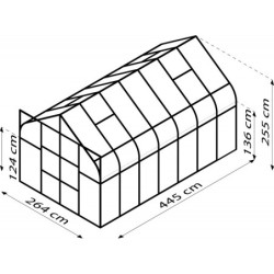 Vitavia Serre de jardin en polycarbonate Vert 11.5m²