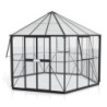 Vitavia Serre de jardin en verre Noir 9m²
