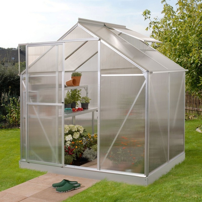 Vitavia Serre de jardin en polycarbonate Gris 2,5m²