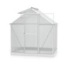 Vitavia Serre de jardin en polycarbonate Gris 2,5m²