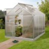 Vitavia Serre de jardin en polycarbonate Gris 3.8m²