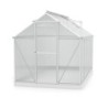 Vitavia Serre de jardin en polycarbonate Gris 6,2m²