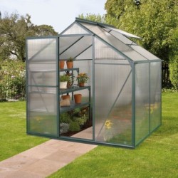 Vitavia Serre de jardin en polycarbonate Vert 2,5m²