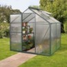 Vitavia Serre de jardin en polycarbonate Vert 2,5m²